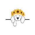 Sunflower Pup